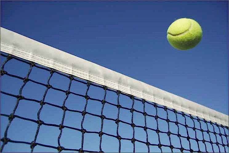 Selex tt - 460 Tenis Ağı