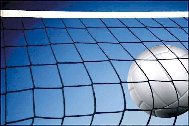 Selex V - 350 Voleybol Ağı