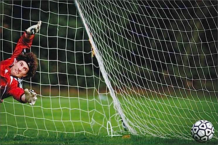 Selex S-025W Futbol Kale Ağı