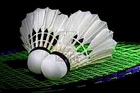Badminton Topları
