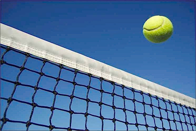 Selex tt - 430 Tenis Ağı