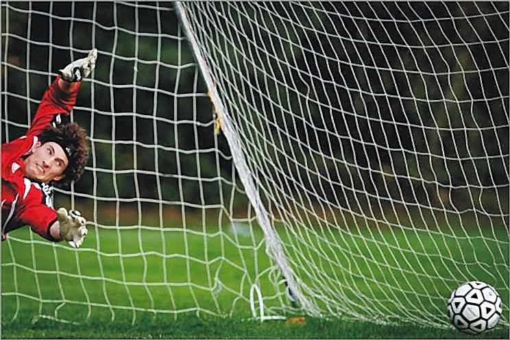 Selex S-020W Futbol Kale Ağı
