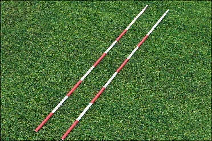 Selex Fiber Vol. Anteni