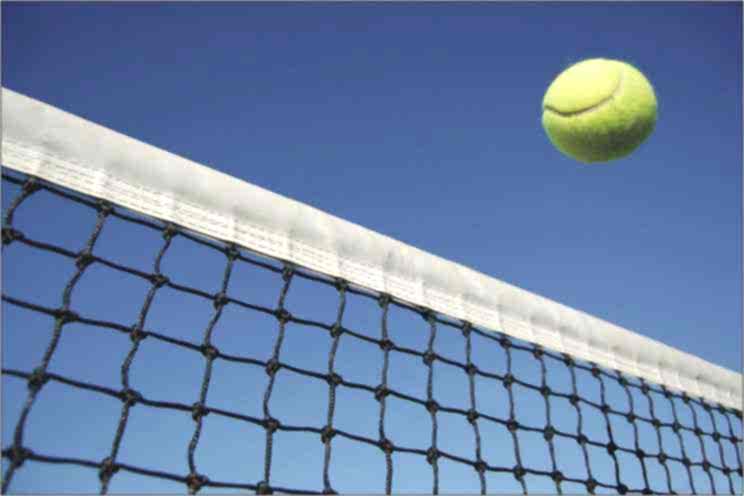 Selex tt - 450 Tenis Ağı