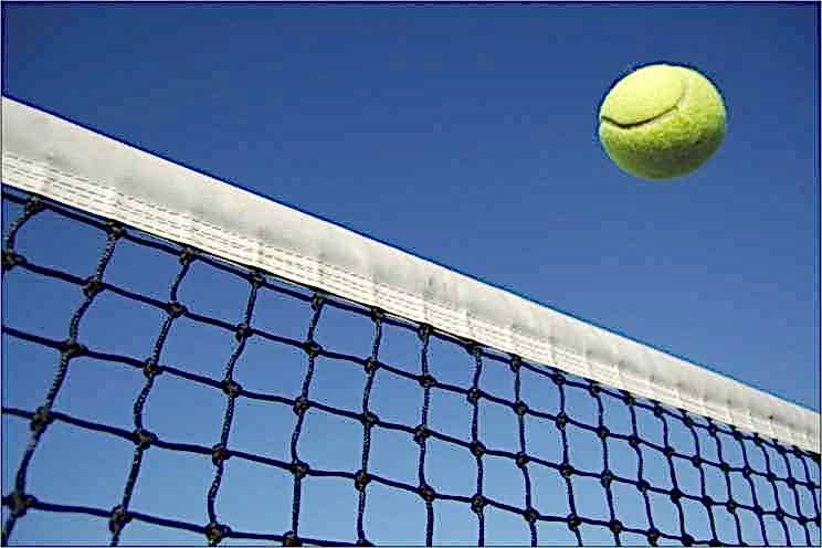 Selex tt - 410 Tenis Ağı