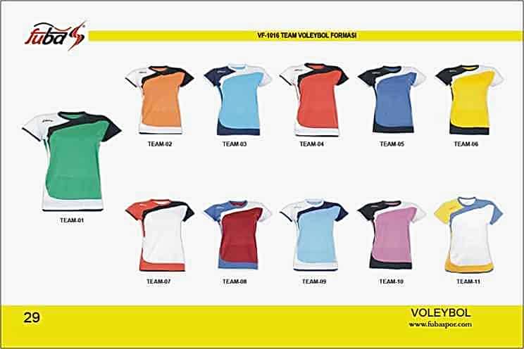 TEAM MODEL BAYAN VOLEYBOL FORMASI