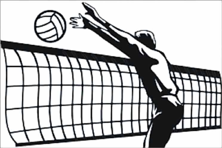 Erkek Voleybol Formaları