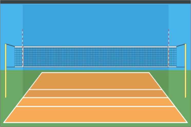 Selex V - 550 Voleybol Ağı